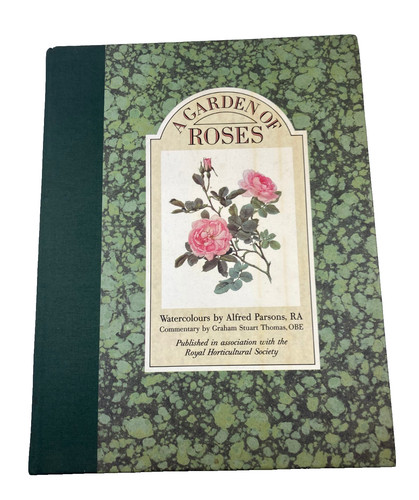 Garden roses - of,