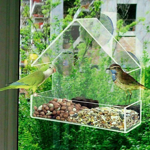 Window bird feeder wild table - window,