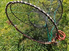 Koike Prawn Shrimp Crayfish