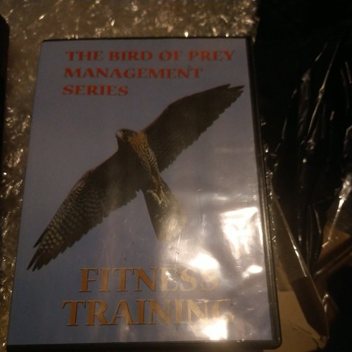 The bird prey - the, of