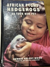 African Pygmy Hedgehogs As