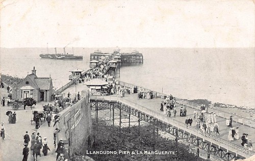 Family history postcard - history,