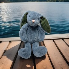 Blue Gray Baby Bunny Rabbit