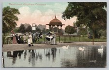 Clapham Common Pond Swans