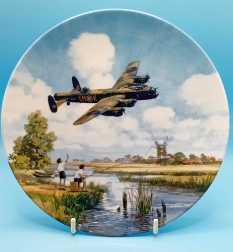 Royal doulton plane plate - plane,
