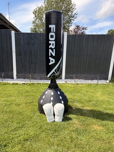 Forza stand punching back - stand,