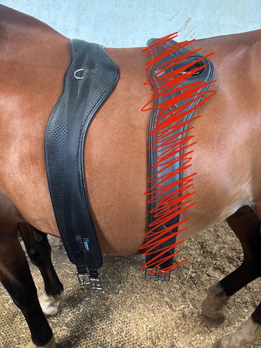 Shires arma anti chafe - shires, anti-chafe