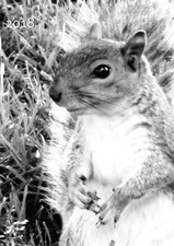 MY BIG FAT CALENDAR 2018 -