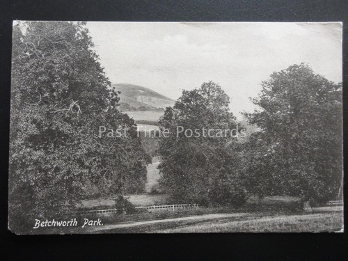 Surrey betchworth park - surrey,