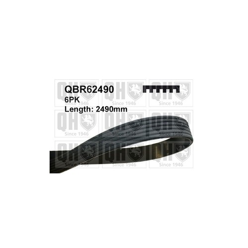 Qbr62490 multi ribbed - multi-ribbed, belt