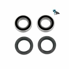 Rear Wheel Bearing & seal Kit