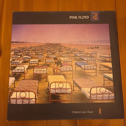 Pink floyd momentary lapse - momentary,