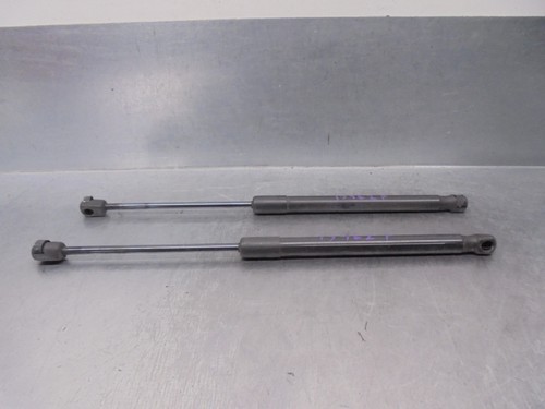 5p8827550 tailgate gas - tailgate,