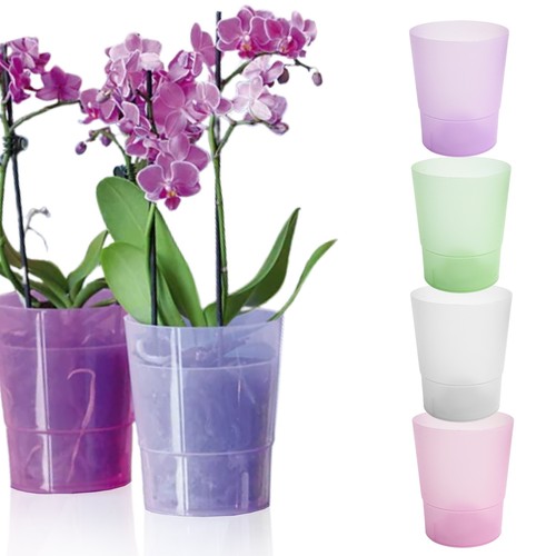 Orchid pot transparent - pot, frosted