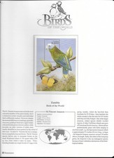Zambia Birds Amazon MS