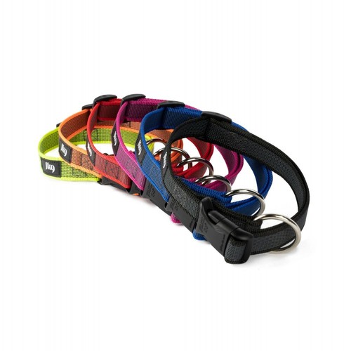 Julius dog puppy collar - julius-k9,