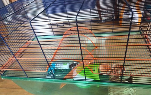 Hamster gerbil cage perfect - hamster/gerbil, cage...