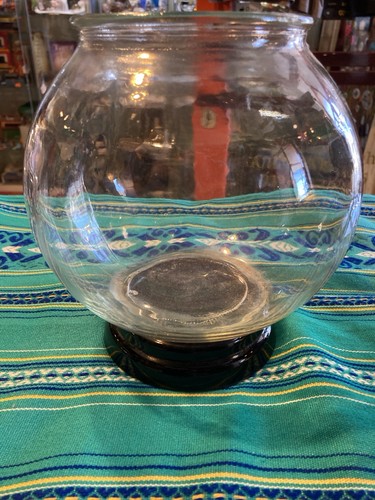 Antique glass terrarium fish - glass,
