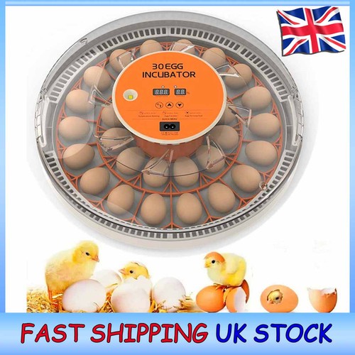 30egg intelligent incubator - 30egg,