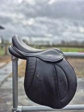 Pony Cob Horse/Chunky Monkey