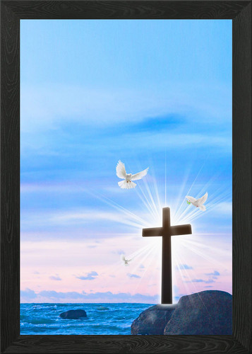 Jesus christ cross dove - , framed