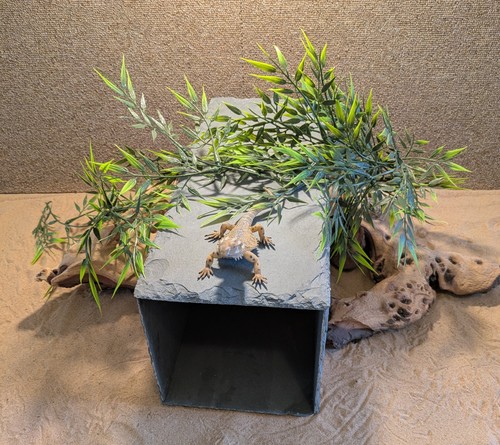 Xxxl large natural slate - large,