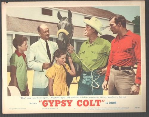 Gypsy colt x14 lobby card - gypsy,