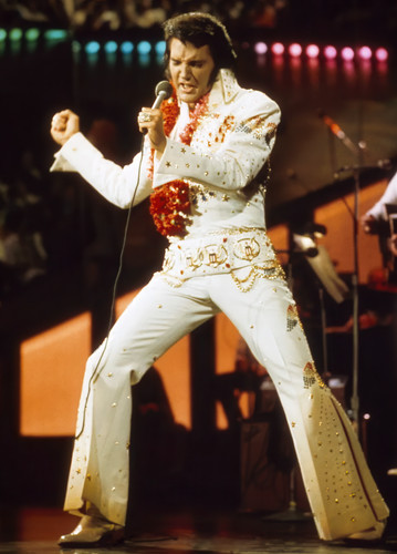 Large elvis presley poster - elvis,