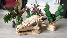 Aquarium/Fish tank Ornaments Bundle, Dragon Skull, Cactus & 2x Underwater Plants