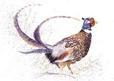 Pheasant Wildlife A4 Splatter