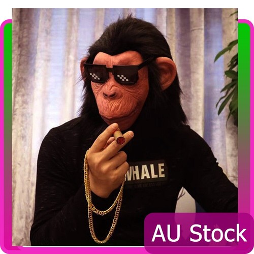 Adult monkey full - monkey,