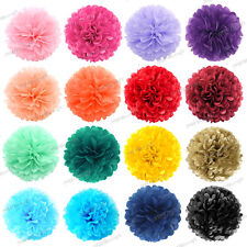 Pack of 6 Tissue Paper Pompoms