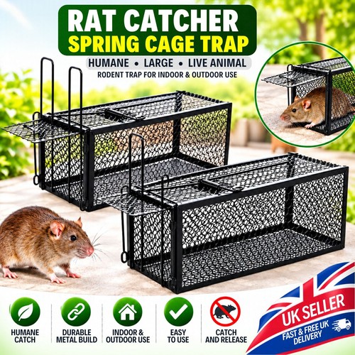 Rat catcher spring cage - spring,