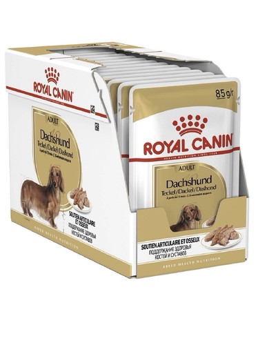 Royal canin dachshund adult - royal,