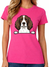 English Springer Spaniel Dog