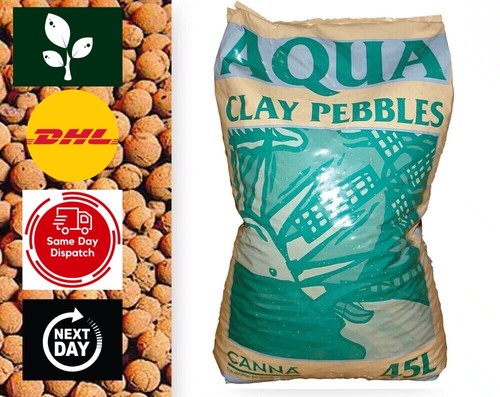 Canna aqua clay - aqua, pebbles