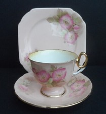 A beautiful Shelley pink