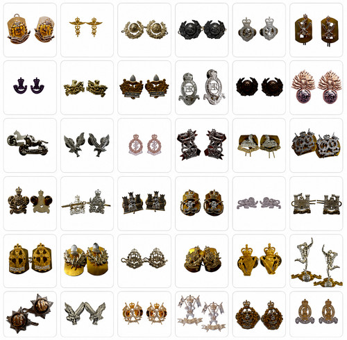 Collar dogs and lapel - and, badges