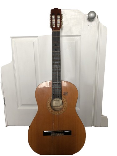 Acoustic guitar - acoustic,