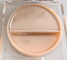 Estée Lauder Pure Colour Eyeshadow ecru matte