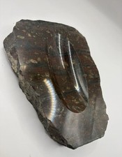 Slab of Jasper Fossil