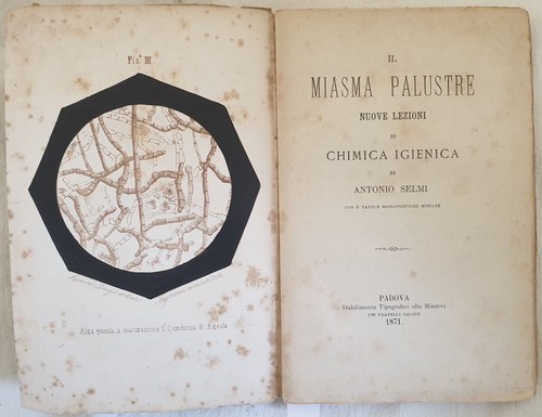 Science the miasma palustre - the,