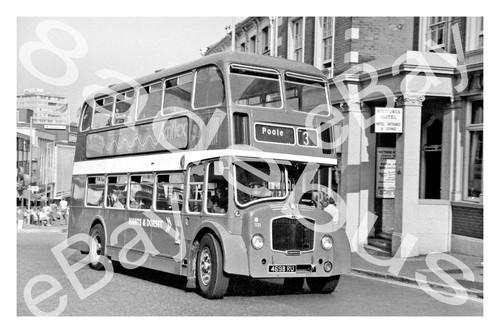 Bus photograph hants dorset - photograph,