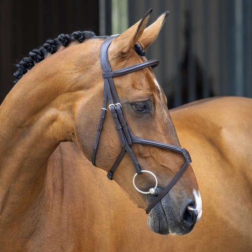 Shires lusso grackle - lusso,