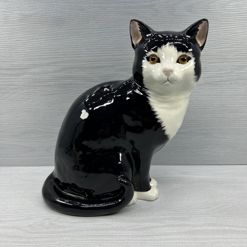 Just cats co staffordshire - cats,