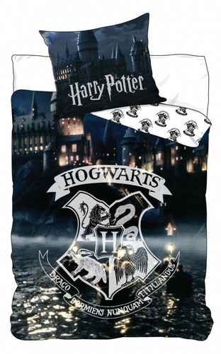 Harry potter hogwarts night - harry,