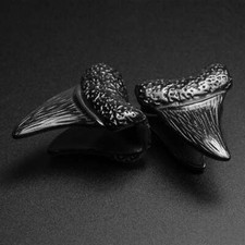 Shark Tooth Black PVD Ear