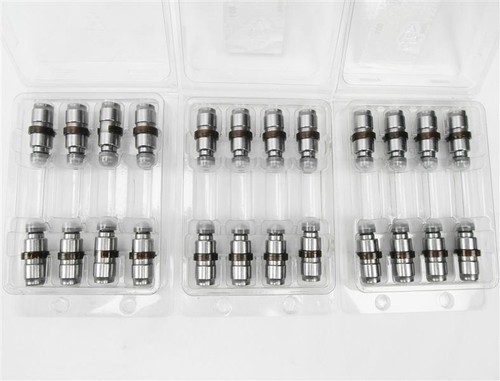 Hydraulic tappet ina bmw - 24,