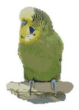 Green Budgie Counted Cross