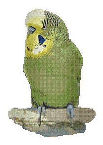 Green budgie counted cross - budgie,